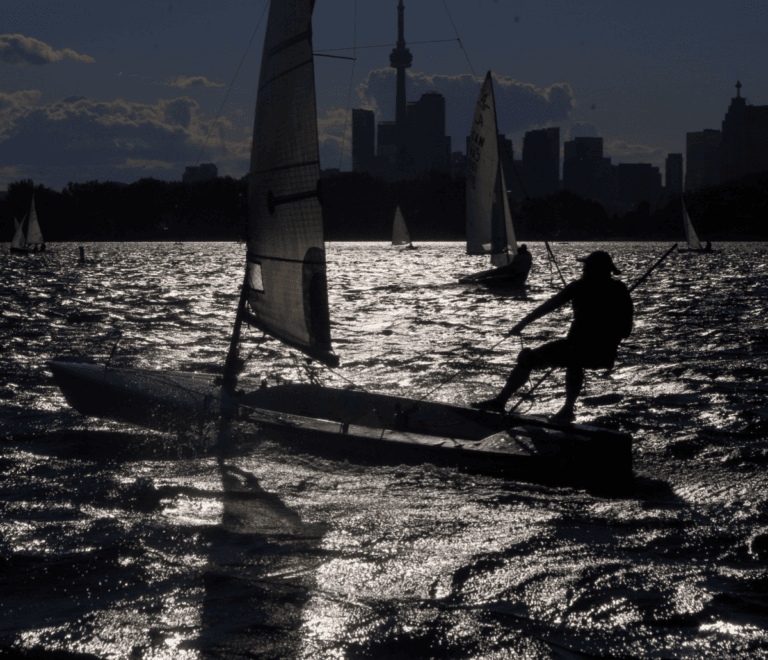 Silhouette of sailboats