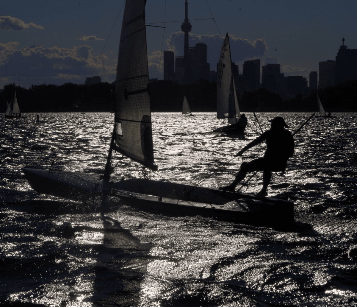 Silhouette of sailboats