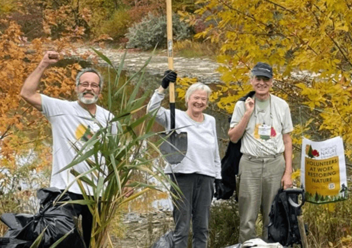 People in the bush