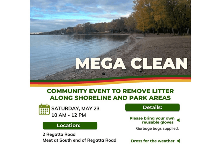 Mega Clean